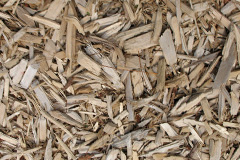 biomass boilers Grayshott